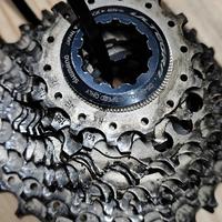 pacco pignoni Shimano 