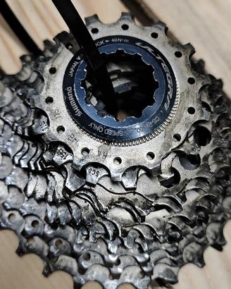 pacco pignoni Shimano 