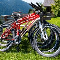 3 MountainBike Whistle Miwok 1051V