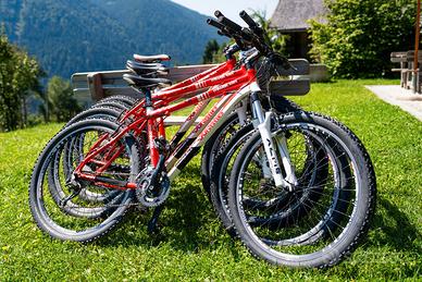 3 MountainBike Whistle Miwok 1051V