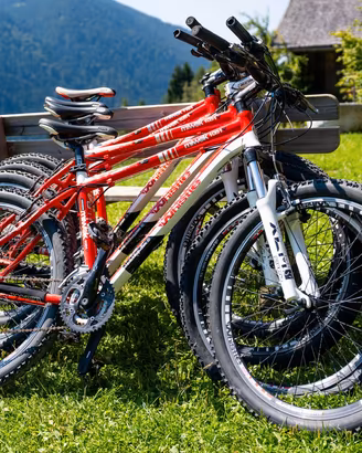 3 MountainBike Whistle Miwok 1051V