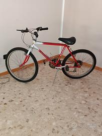 bici Mountain Nike