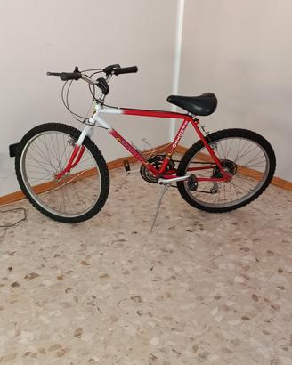 bici Mountain Nike