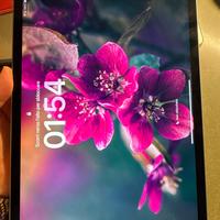 iPad Pro 2021 11’ 256gb