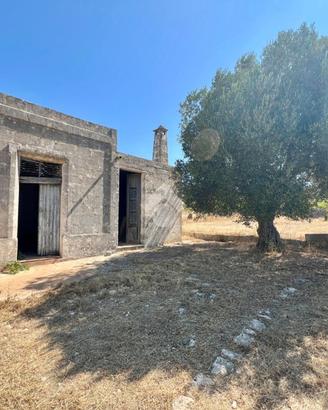 CASA DI CORTE A CEGLIE MESSAPICA