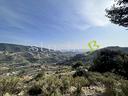 terreno-edificabile-a-vallebona