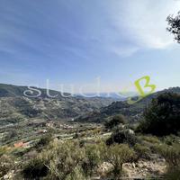 Terreno Edificabile a Vallebona