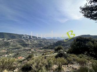 Terreno Edificabile a Vallebona