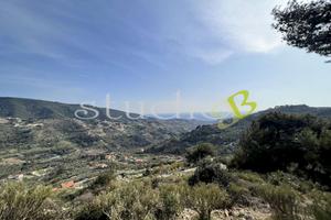 Terreno Edificabile a Vallebona