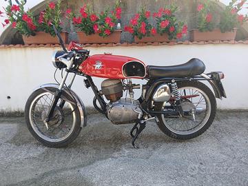 MV AUGUSTA 150cc RSS