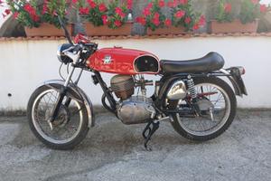 MV AUGUSTA 150cc RSS