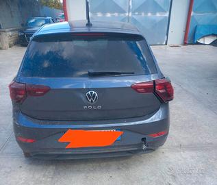POLO INCIDENTATA