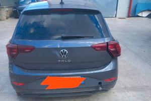 POLO INCIDENTATA