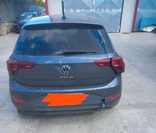 POLO INCIDENTATA