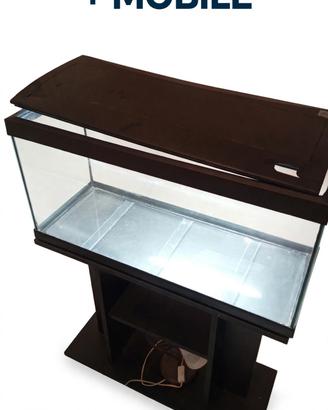 acquario 