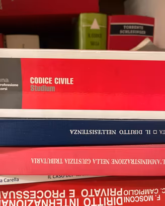 Lotto Libri Giurisprudenza