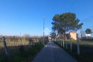 TER. AGRICOLO A SANT'ANASTASIA