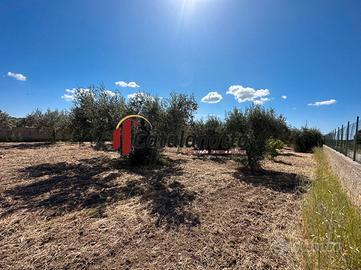 Terreno edificabile a Selinunte