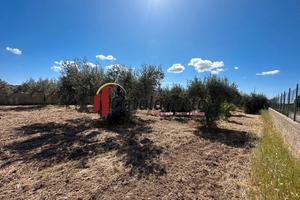 Terreno edificabile a Selinunte