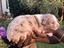 Immagine 1