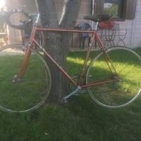 bicicletta da corsa marca Bottecchia