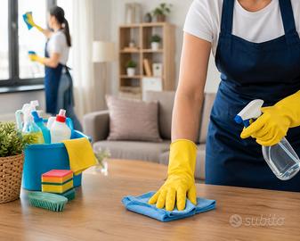 Aiuto domestico/pulizie appartamento/ babysitter