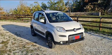 Vendita Fiat Panda 4x4 del 2017 impianto GPL