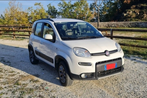 Vendita Fiat Panda 4x4 del 2017 impianto GPL