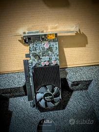SCHEDA VIDEO 2 Giga byte