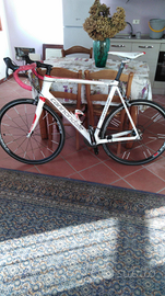 Cannondale six