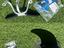 Immagine 4