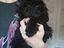 Immagine 5