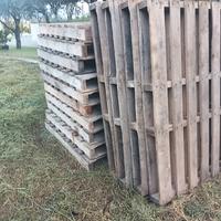 pallet