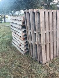 pallet