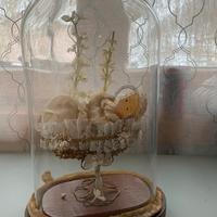 Madonna Maria cera con teca cupola in vetro