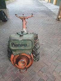 Motocoltivatore Pasquali 909 benzina