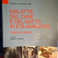 Malattie del cane del gatto in età avanzata.