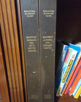biblioteca dei disegni volume 25 e 16 