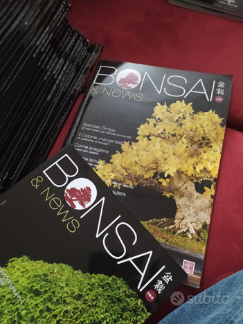 Riviste bonsai usato  Pavia