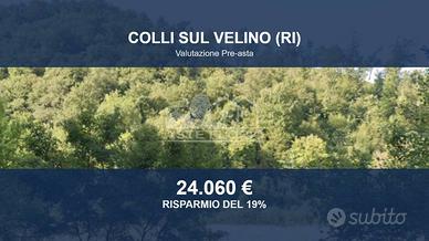 Immobile in asta di 19810 m² a Colli sul Velino