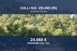Immobile in asta di 19810 m² a Colli sul Velino