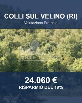 Immobile in asta di 19810 m² a Colli sul Velino