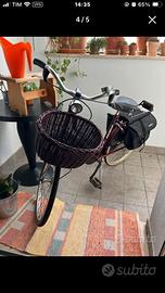 Bicicletta Holland bordeaux