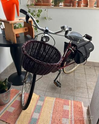 Bicicletta Holland bordeaux