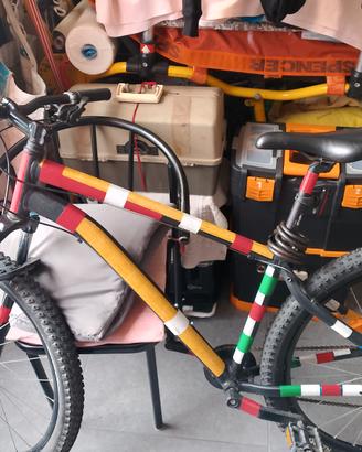 Bici frano a disco