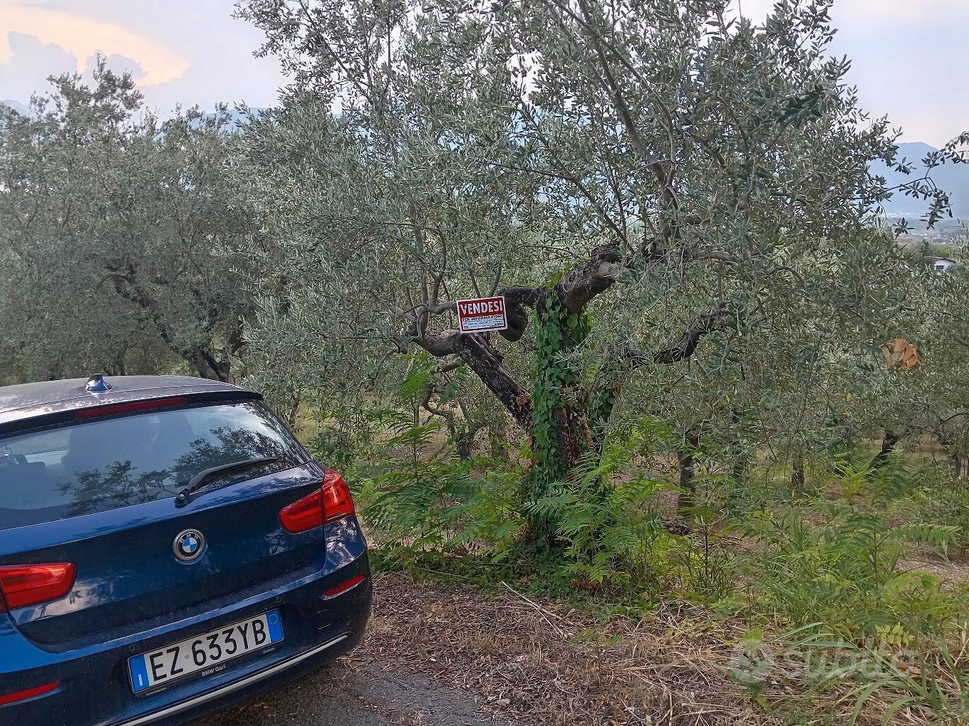 terreno e casa nel comune di San lorenzell - Vista 2