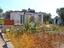 Immagine 29