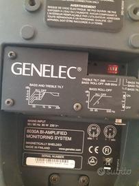 Monitor genelec 8030a usate in coppia