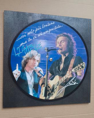 Quadro vinile omaggio a Luciano Ligabue 