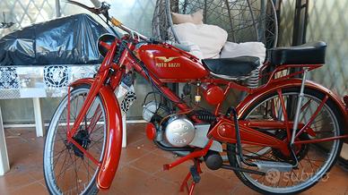  guzzino tipo C